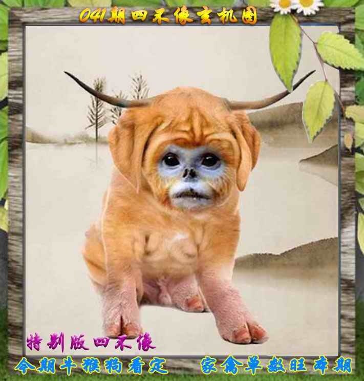 四不像四不像