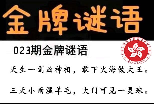 金牌谜语