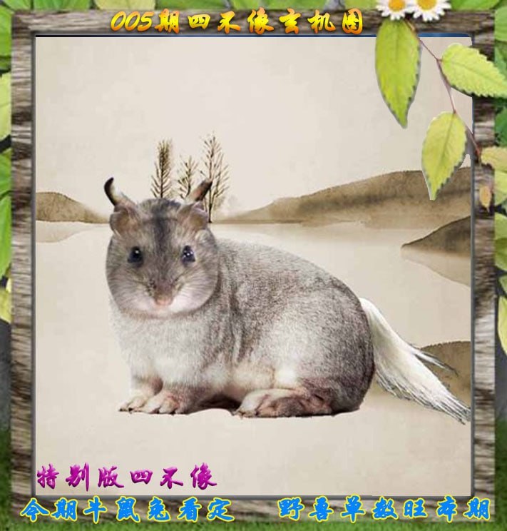 四不像四不像