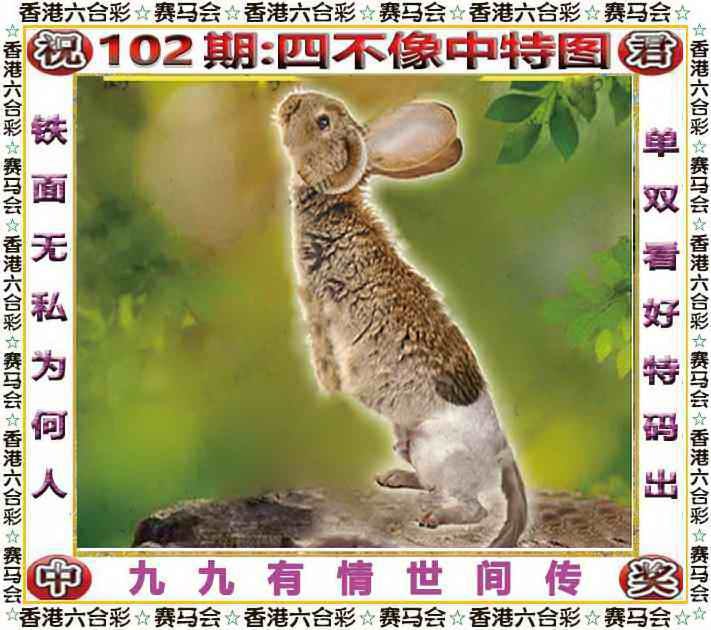四不像四不像