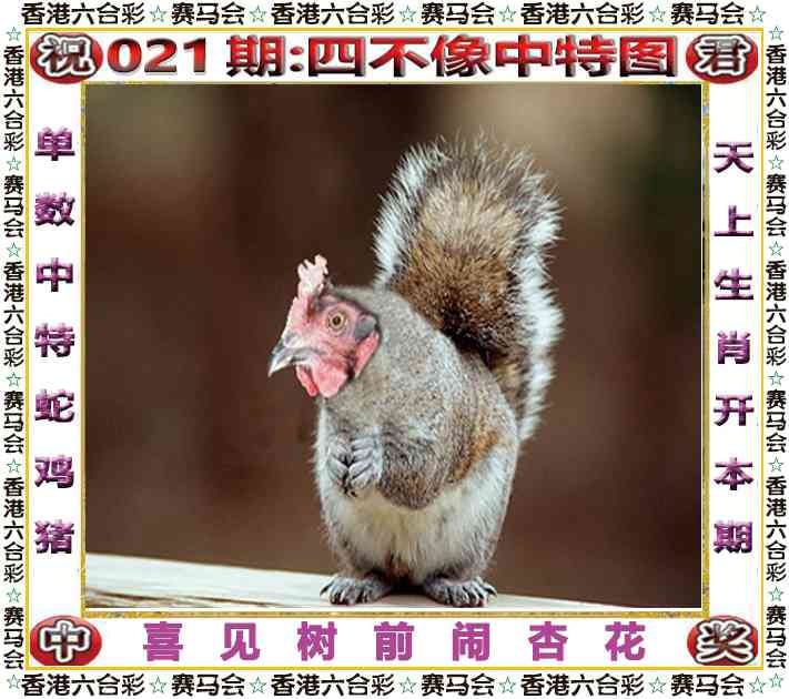 四不像四不像
