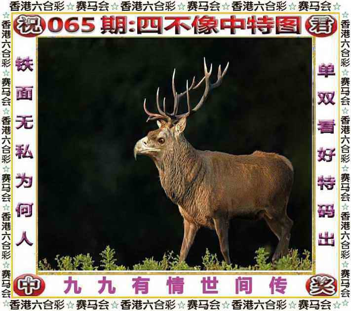 四不像四不像