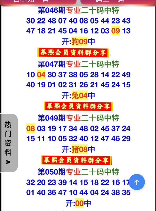 专业二十码