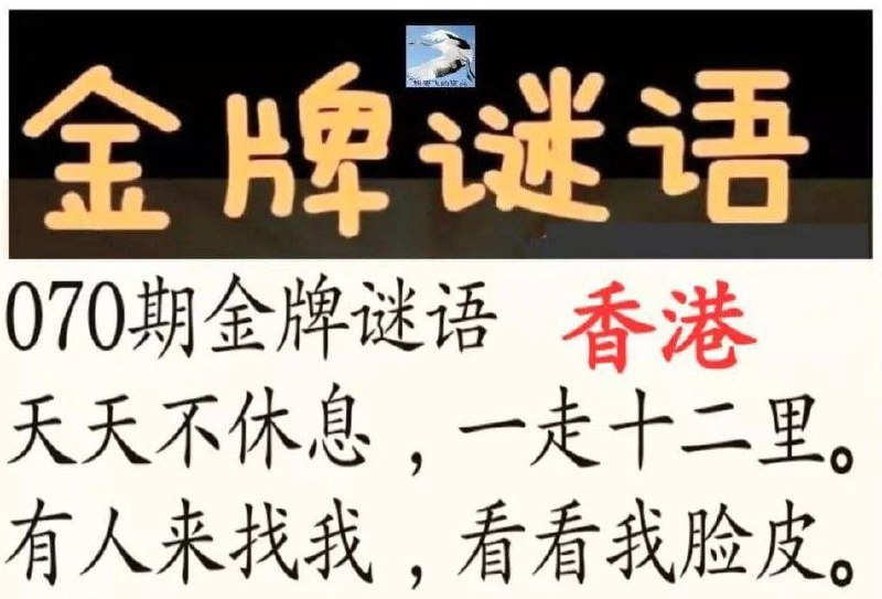 金牌谜语金牌谜语
