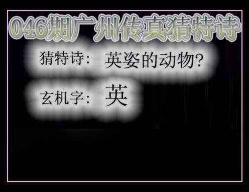 猜特诗猜特诗