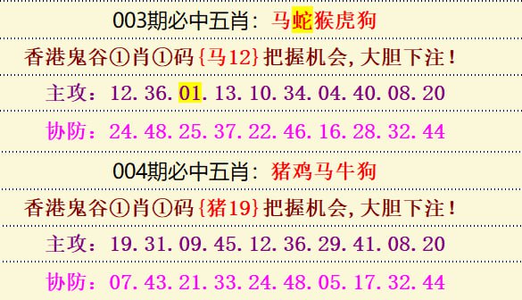 五肖十码