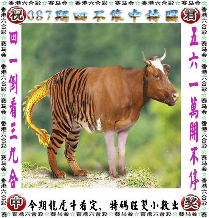 四不像四不像