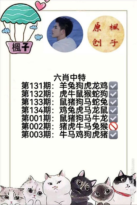 香港枫子香港枫子