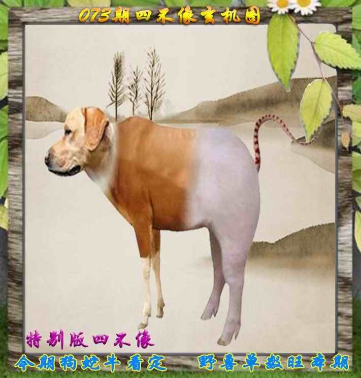 四不像四不像