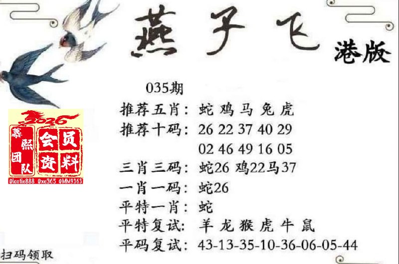 燕子飞