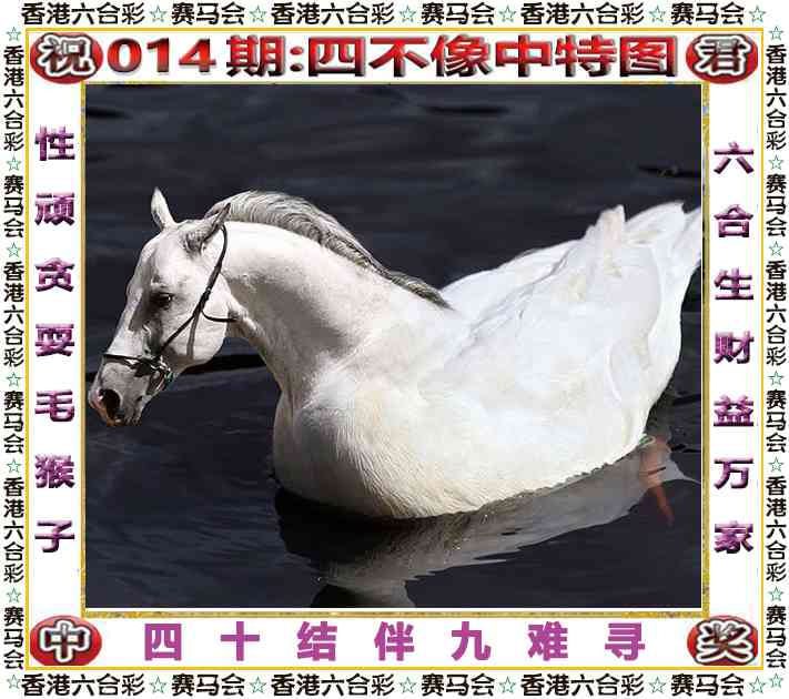 四不像四不像