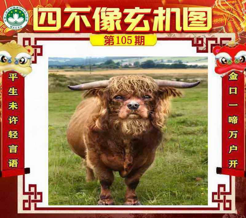 四不像四不像