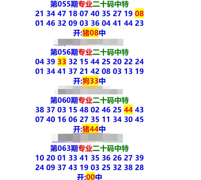 专业二十码
