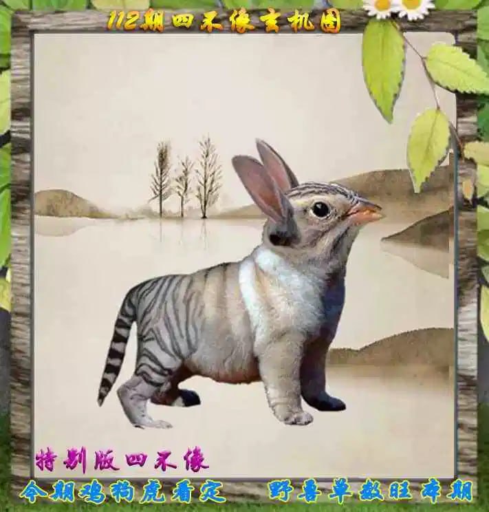 四不像四不像