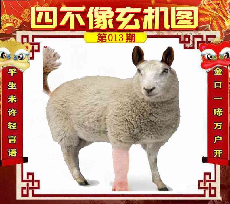 四不像四不像