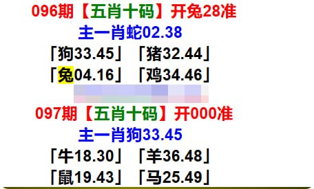 五肖十码