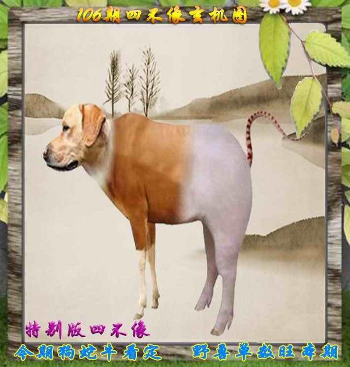 四不像四不像