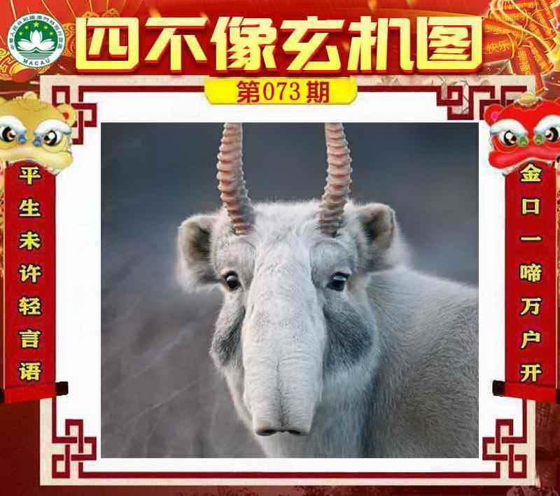 四不像四不像