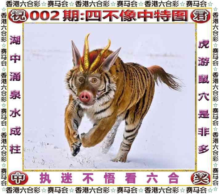 四不像四不像