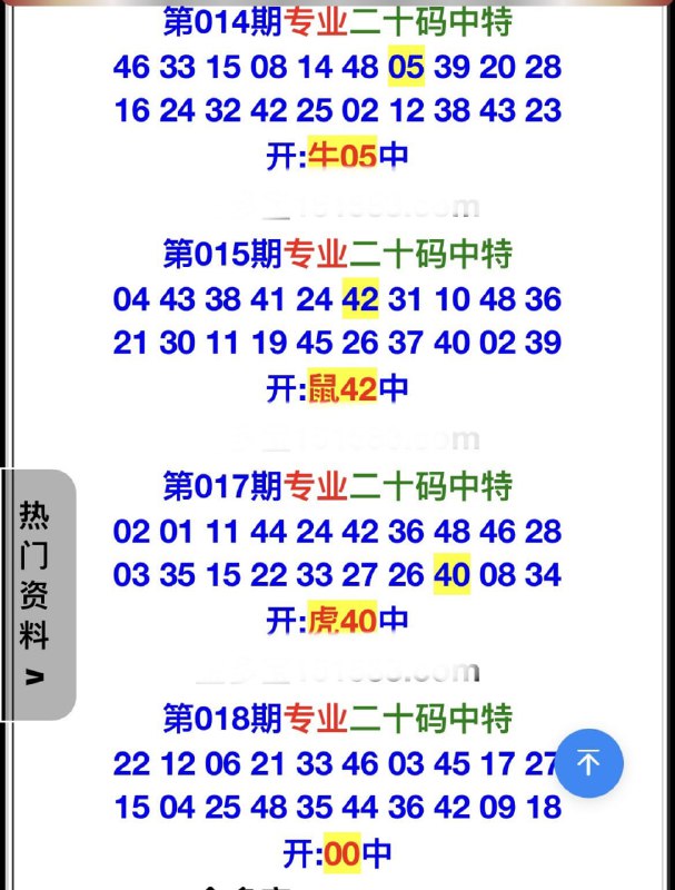 专业二十码