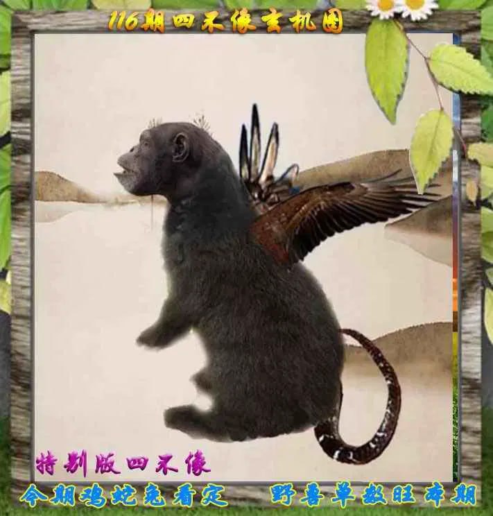 四不像四不像