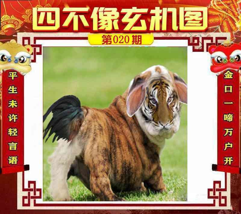 四不像四不像