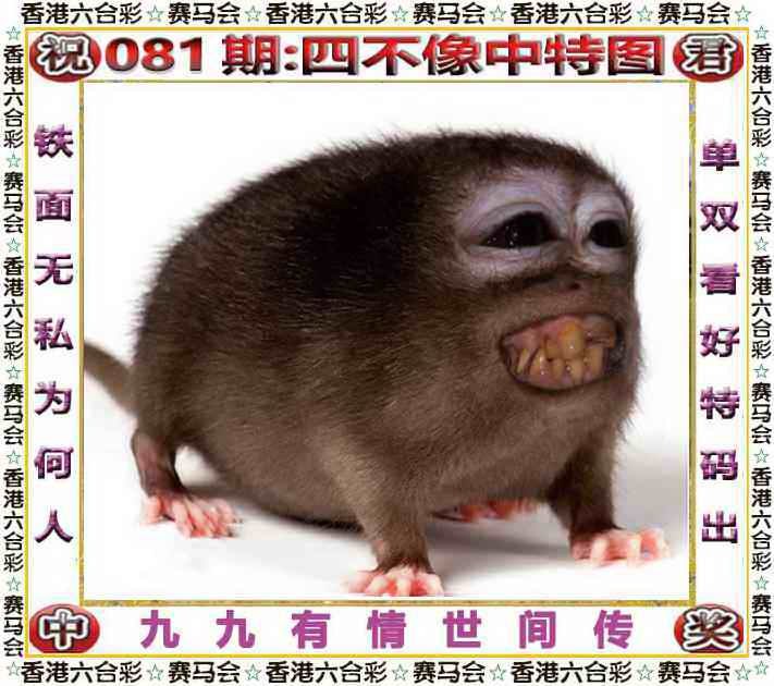 四不像四不像
