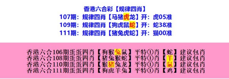 规律四肖