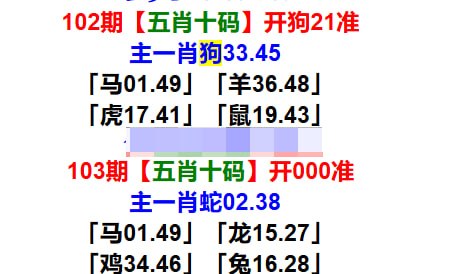 五肖十码