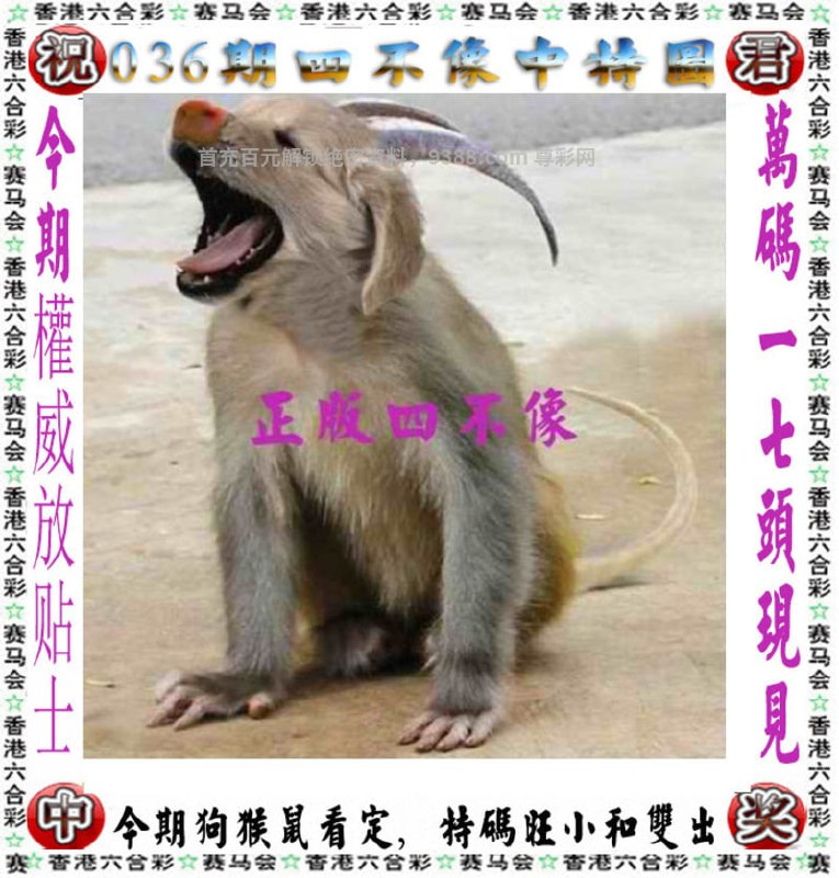 四不像四不像