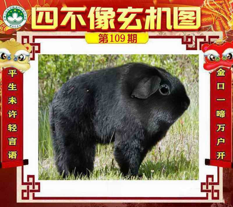 四不像四不像