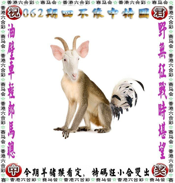 四不像四不像