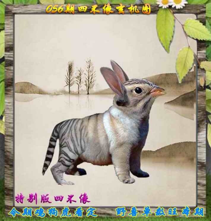 四不像四不像