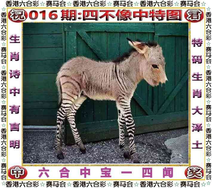 四不像四不像