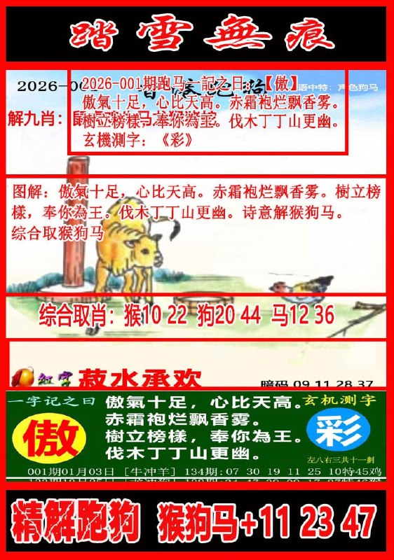 踏雪无痕+凌波微步踏雪无痕+凌波微步