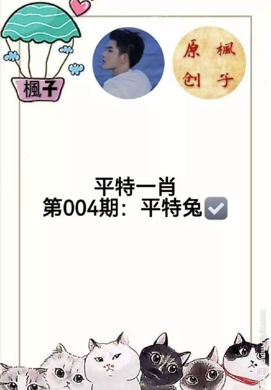 香港枫子香港枫子