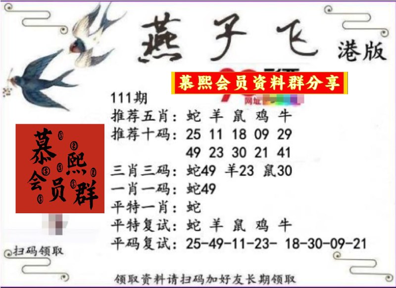 香港燕子飞
