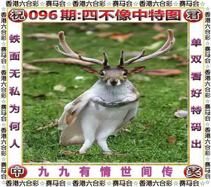 四不像四不像