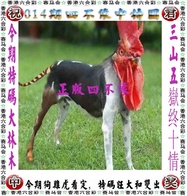 四不像四不像