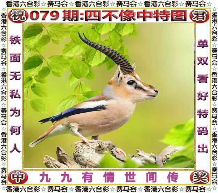 四不像四不像