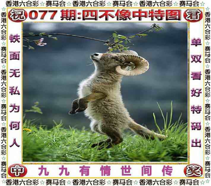 四不像四不像