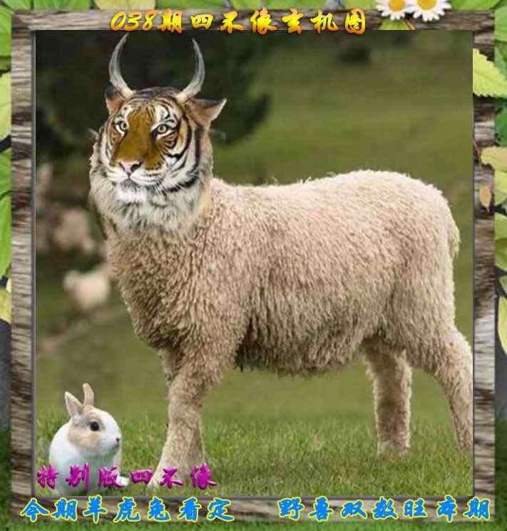 四不像四不像