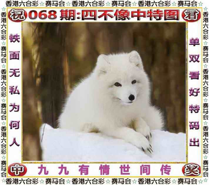 四不像四不像