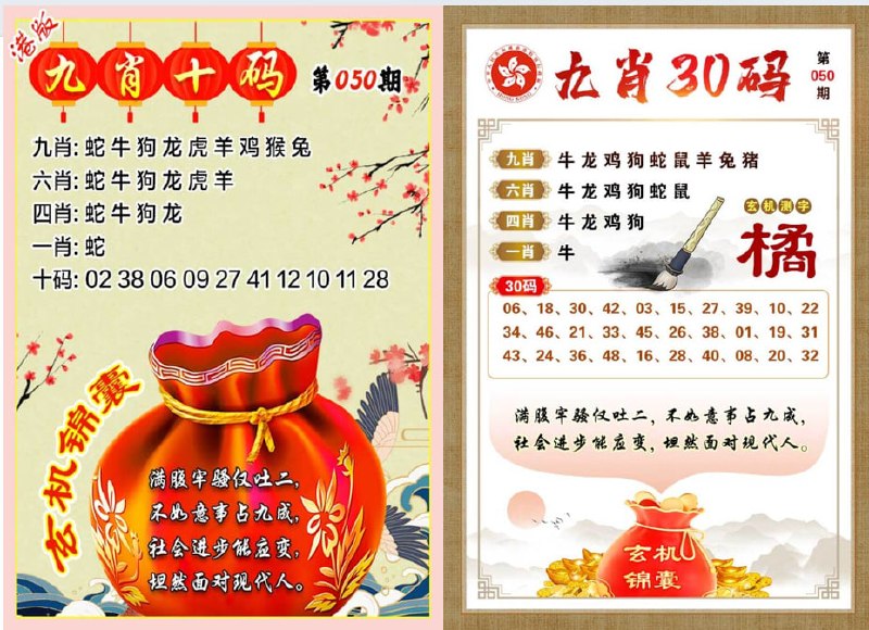 九肖十码