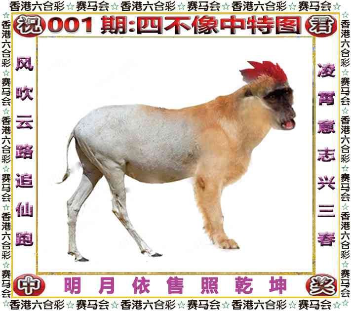 四不像四不像