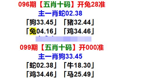 五肖十码