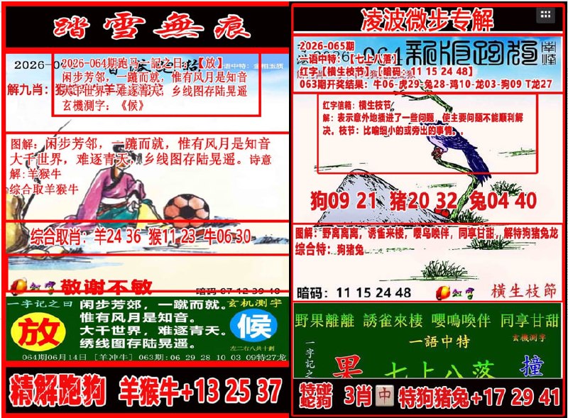 踏雪无痕+凌波微步