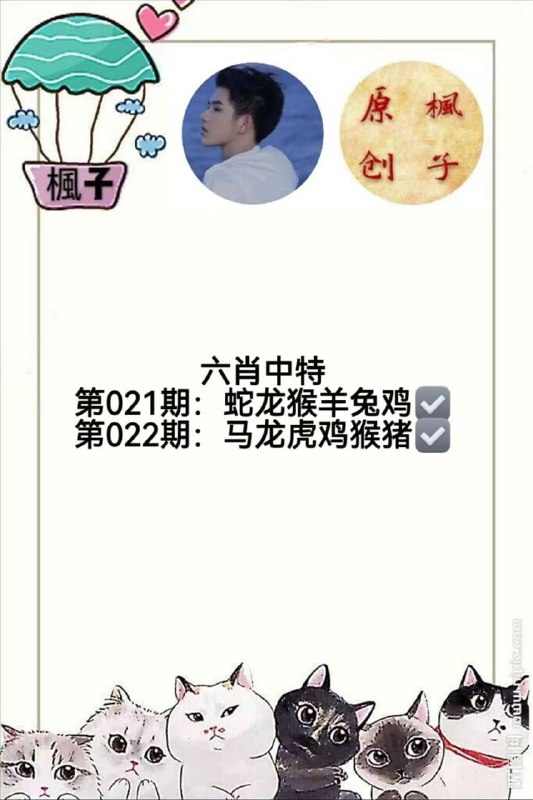 香港枫子香港枫子