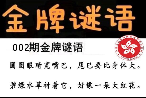 金牌谜语