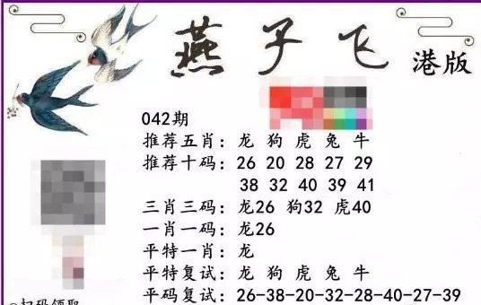 香港燕子飞
